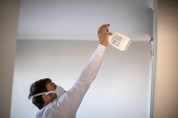 Best Mold Cleaning Services  in Sesser, IL