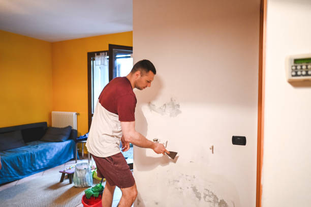 Crawl Space Mold Removal in Sesser, IL